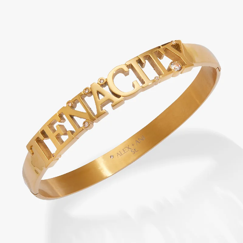 Tenacity Hinge Bracelet